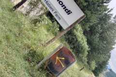 THE-ABBOT-PFANNER-TRAPPIST-TRAIL-IN-SOUTH-AFRICA-15