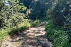 THE-ABBOT-PFANNER-TRAPPIST-TRAIL-IN-SOUTH-AFRICA-17