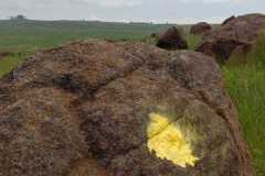 THE-ABBOT-PFANNER-TRAPPIST-TRAIL-IN-SOUTH-AFRICA-19