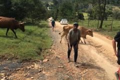 THE-ABBOT-PFANNER-TRAPPIST-TRAIL-IN-SOUTH-AFRICA-28